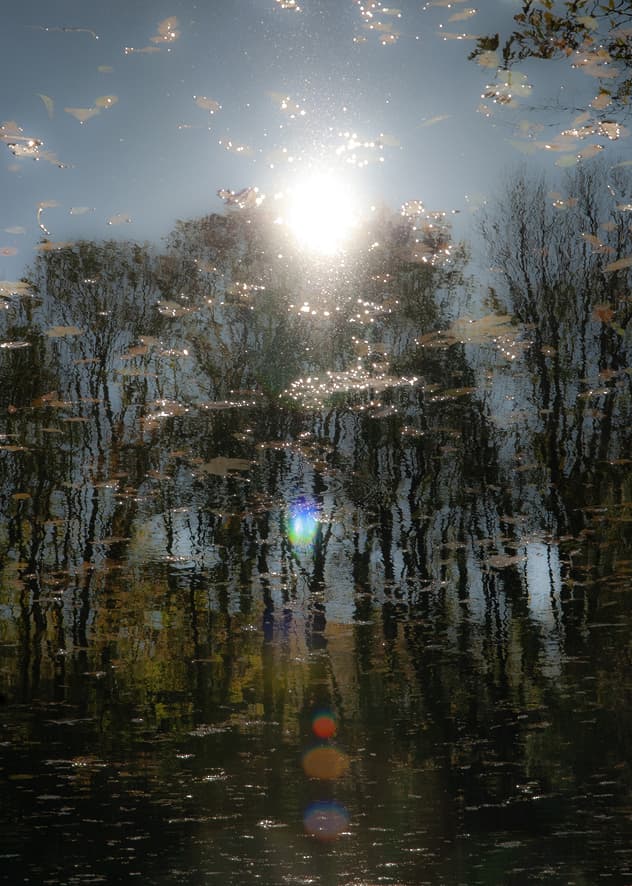 Postcard from the Limited Postcard Edition 2023